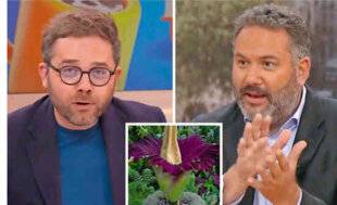 Télé Poche 3099 Une histoire de phallus