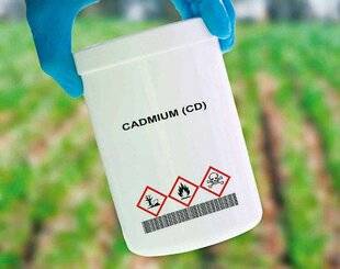 Télé Poche 3109 Contamination au cadmium, ce qu'il faut savoir
