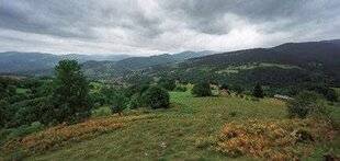 Télé Poche 3117 DES RACINES ET DES AILES