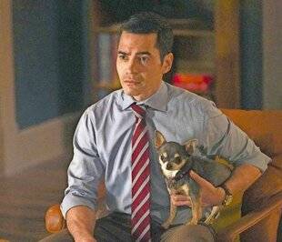 Télé Poche 3118 ENQUÊTES ET CHIHUAHUA