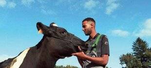 Télé Poche 3119 NOLAN, DEVENIR ÉLEVEUR EN BRETAGNE