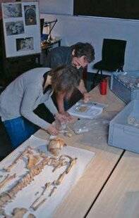 Télé Poche 3131 DANS LA PEAU DES PREMIERS PAYSANS FRANÇAIS