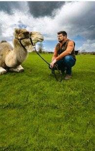 Télé Poche 3132 JULIEN, UN CHAMELIER CHEZ LES CH'TIS