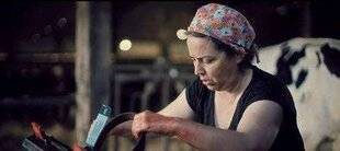 Télé Poche 3133 VÉTO DE CAMPAGNE 