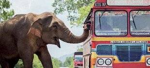 Télé Poche 3134 ROYAUMES D'ASIE