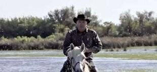 Télé Poche 3137 DES RACINES ET DES AILES☆☆