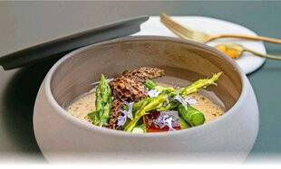 Télé Poche 3142 Asperges vertes sautées et morilles à la crème