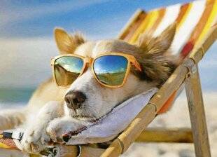 Télé Poche 3151 Les précautions à prendre pour des vacances sans bobo