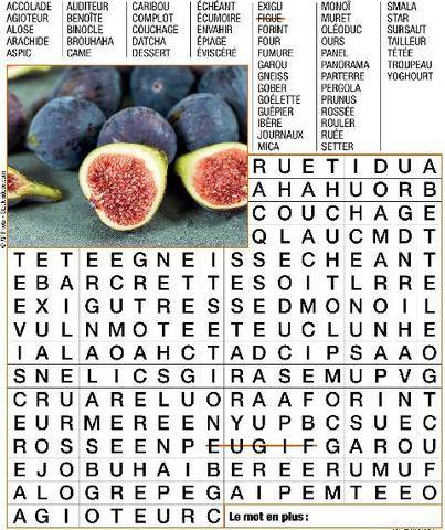 Télé Poche 3161 MOTS CACHÉS