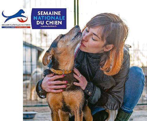 Télé Poche 3162 5 conseils pour une adoption responsable