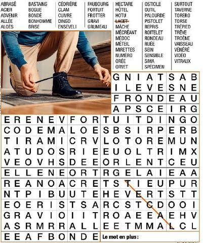 Télé Poche 3163 MOTS CACHÉS