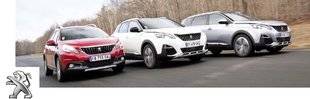 Auto Plus 1593 LES SUV