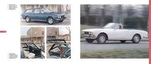 Auto Plus 1595 Lions magnifiques