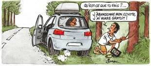 Auto Plus 1611 Toujours beaucoup d'animaux abandonnés sur la route des vacances…