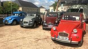 Auto Plus 1624 Quel est le modèle le plus immatriculé en carte grise collection ?