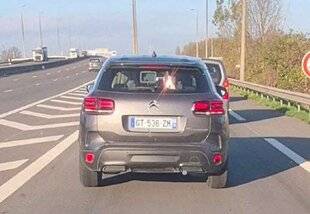 Auto Plus 1942 Vous les avez débusqués