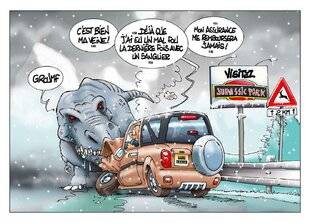 Auto Plus 1943 Le coin des experts - Animaux sauvages, chaussée dégradée : comment se faire indemniser