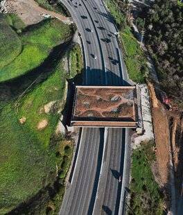 Auto Plus 1958 La photo