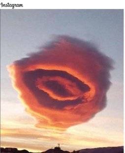 Nous Deux 3946 Rose du ciel