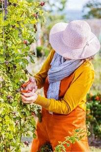 Nous Deux 3948 Plantes à fleurs C'est l'heure de la taille