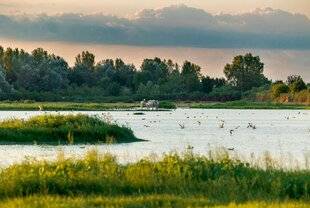 Nous Deux 4059 La Camargue, un paradis préservé