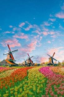 Nous Deux 4059 L'amour à Amsterdam