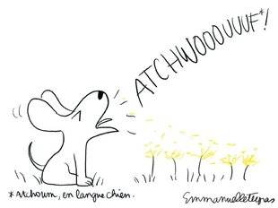 Nous Deux 4065 Le dessin de la semaine