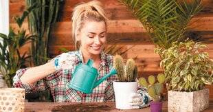 Nous Deux 4069 Bien entretenir ses cactus