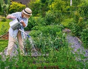 Nous Deux 4071 5 légumes à planter maintenant !