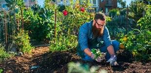 Nous Deux 4075 Des jardiniers heureux