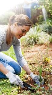 Nous Deux 4081 Bouturez les plantes frileuses