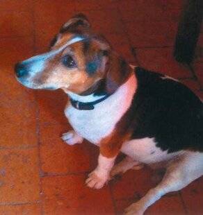 Nous Deux 4083 Trop mignons !