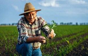 Nous Deux 4085 Le travail est dans le pré