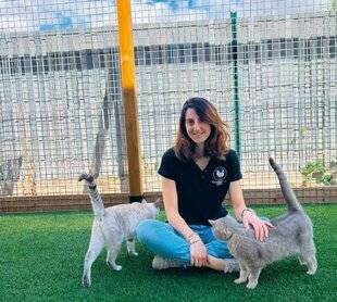 Nous Deux 4085 Mathilde : "J'ai ouvert un hôtel entièrement dédié aux chats"