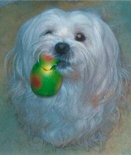 Nous Deux 4085 Vos messages personnels