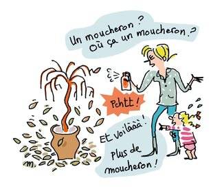 Nous Deux 4085 Ce qu'il faut vérifier