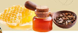 Nous Deux 4086 La propolis, un trésor offert par les abeilles