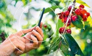 Nous Deux 4086 Croquez les fruits des villes avec votre smartphone