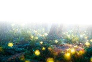 Nous Deux 4088 Vos poèmes !