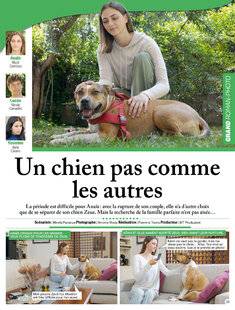 Nous Deux 4088 Un chien pas comme les autres