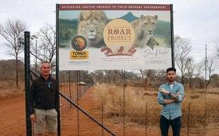 Nous Deux 4088 Six félins retrouvent la terre de leurs ancêtres