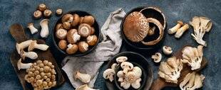 Nous Deux 4088 LES CHAMPIGNONS, RÉGALS DE SAISON
