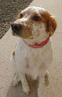 Nous Deux 4089 Trop mignon !