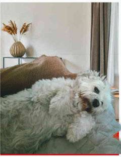 Nous Deux 4090 Trop mignon !