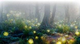 Nous Deux 4091 Votre poème !