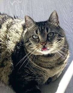 Nous Deux 4092 Trop mignon !