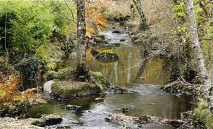 Nous Deux 4092 La Brenne, grandeur nature