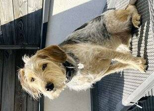 Nous Deux 4093 Trop mignon !