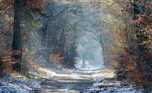 Nous Deux 4096 Le Gâtinais, la na ture en capitale