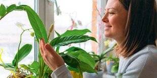 Nous Deux 4098 Ça, c'est malin !